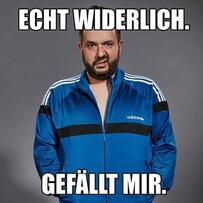 Foto im Vollbild