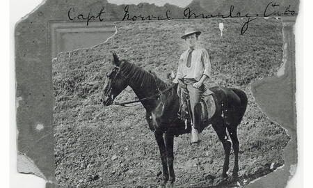 Galerie Foto