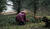 Hintergrund