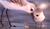 Hintergrund