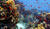Hintergrund