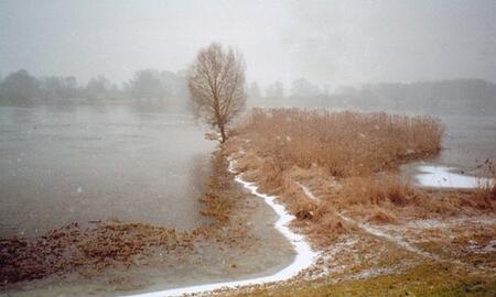 Galerie Foto