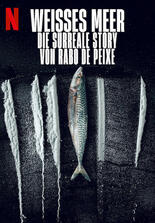 Weißes Meer: Die surreale Story von Rabo de Peixe