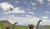 Hintergrund