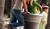Hintergrund