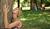Hintergrund