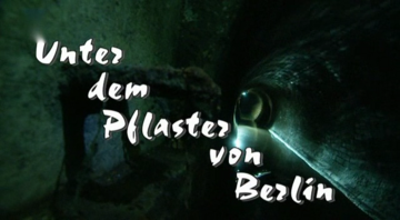 Foto im Vollbild
