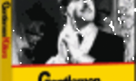 Galerie Foto