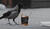 Hintergrund