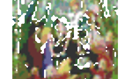 Galerie Foto