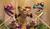 Hintergrund