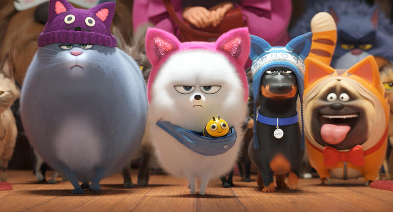 Pets 2 | Film 2019 | Moviepilot