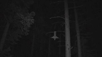 Foto im Vollbild