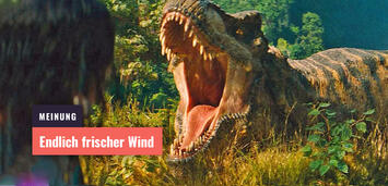 Bild zu:  Jurassic World 4