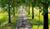Hintergrund