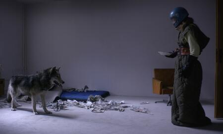 Galerie Foto