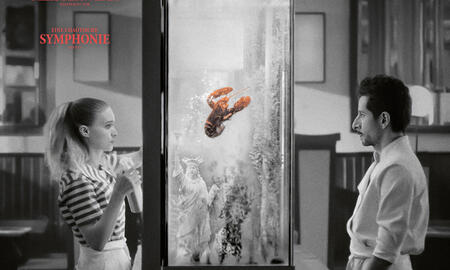 Galerie Foto