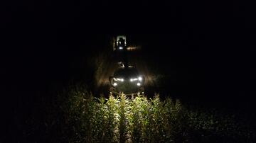 Foto im Vollbild