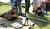 Hintergrund