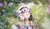 Hintergrund