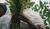 Hintergrund