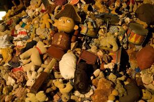 Foto im Vollbild