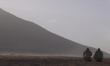 Galerie Foto