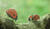 Hintergrund