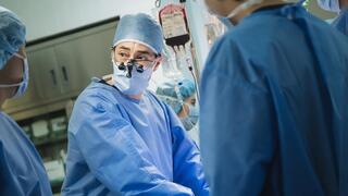 Staffel 1 von Doctor Lawyer