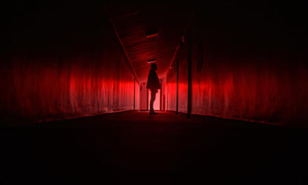 Galerie Foto