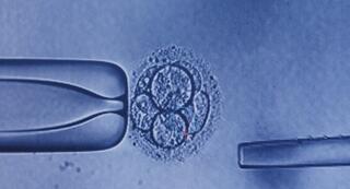 Future Baby