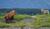 Hintergrund
