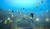 Hintergrund