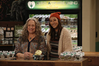 Staffel 1 von Disjointed