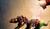 Hintergrund