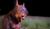 Hintergrund