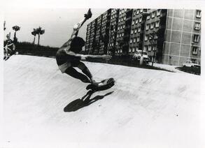 King Skate
