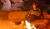 Hintergrund