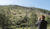 Hintergrund