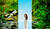 Hintergrund