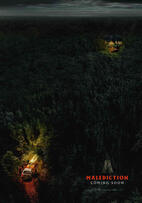 Foto im Vollbild
