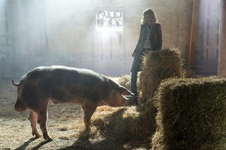 Tatort: Der sanfte Tod