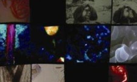 Galerie Foto