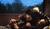Hintergrund