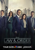 Law & Order - Staffel 25