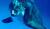 Hintergrund