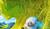 Hintergrund