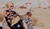 Hintergrund