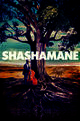 Shashamane