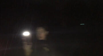 Foto im Vollbild